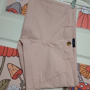American Eagle Women's Pink Shorts